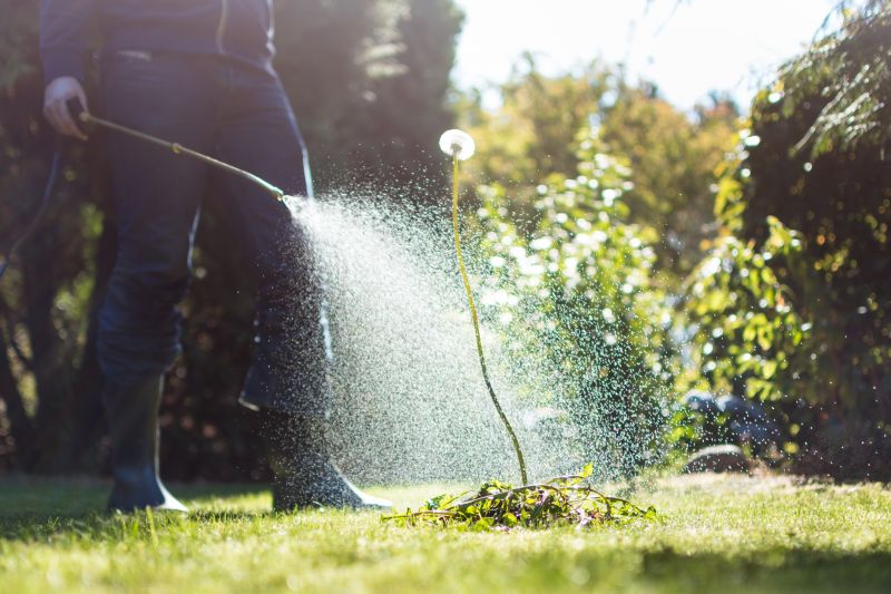 Lawn Weed Spraying Service