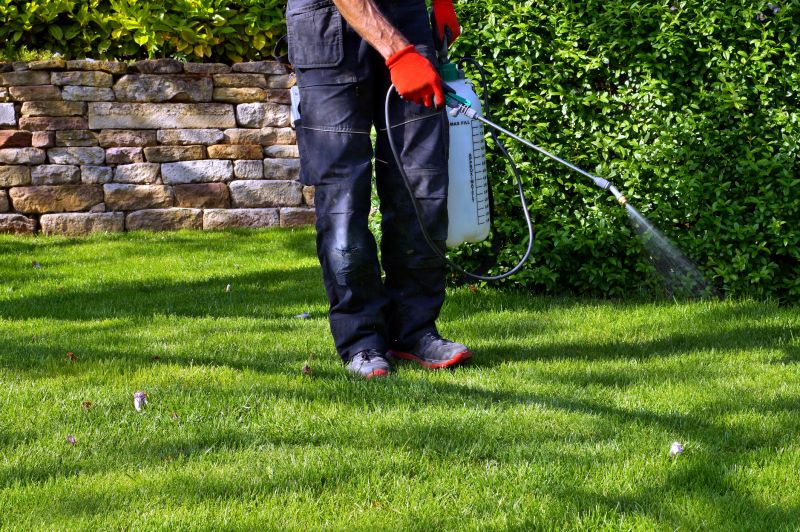 Crabgrass Prevention in Rockwall, TX