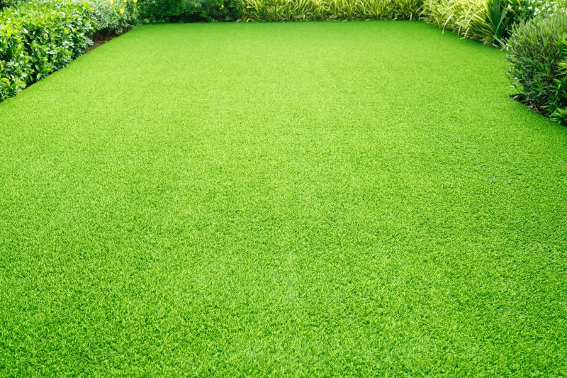 Vibrant Lawn After Service