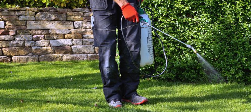 Pampas Grass Control in Aiken, SC