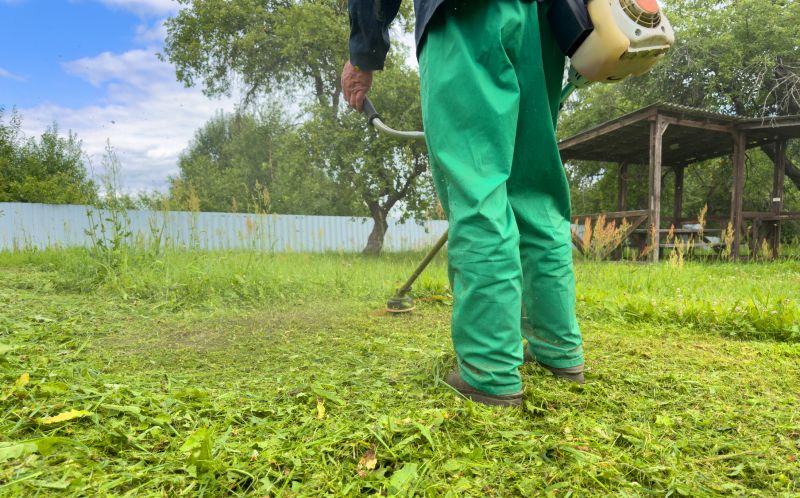 Large-Scale Weed Clearing